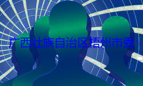 被查委副书记广西壮族自治区梧州市市长李振品